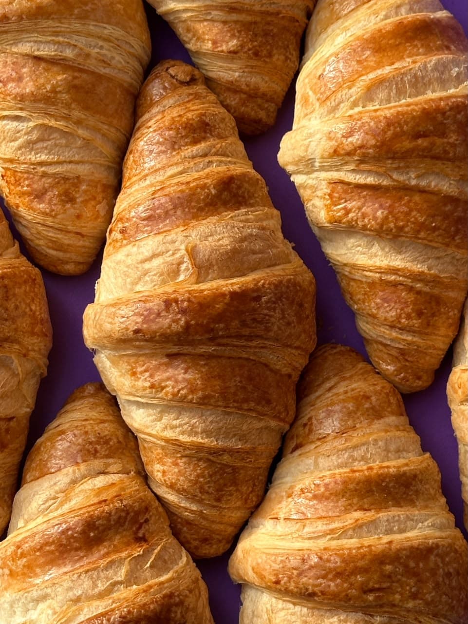Maison du Croissant